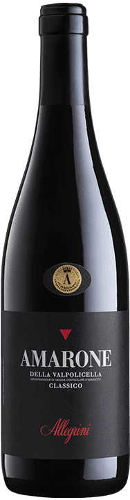 Amarone della Valpolicella classico '19 — Allegrini