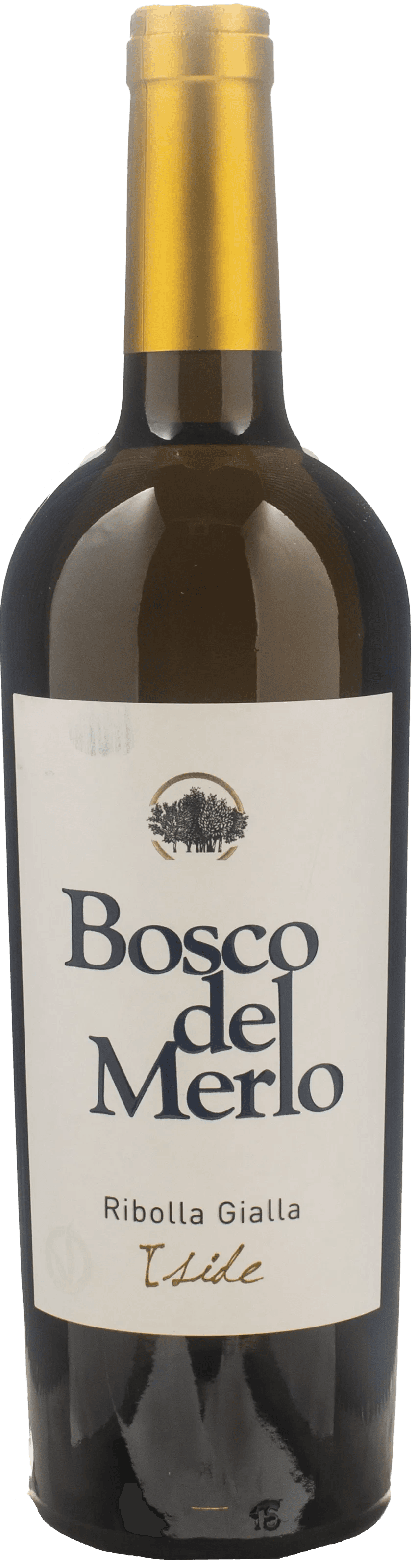 Ribolla Gialla '24 — Bosco del Merlo