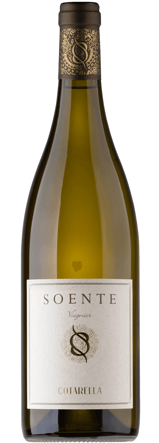 Soente — Cotarella