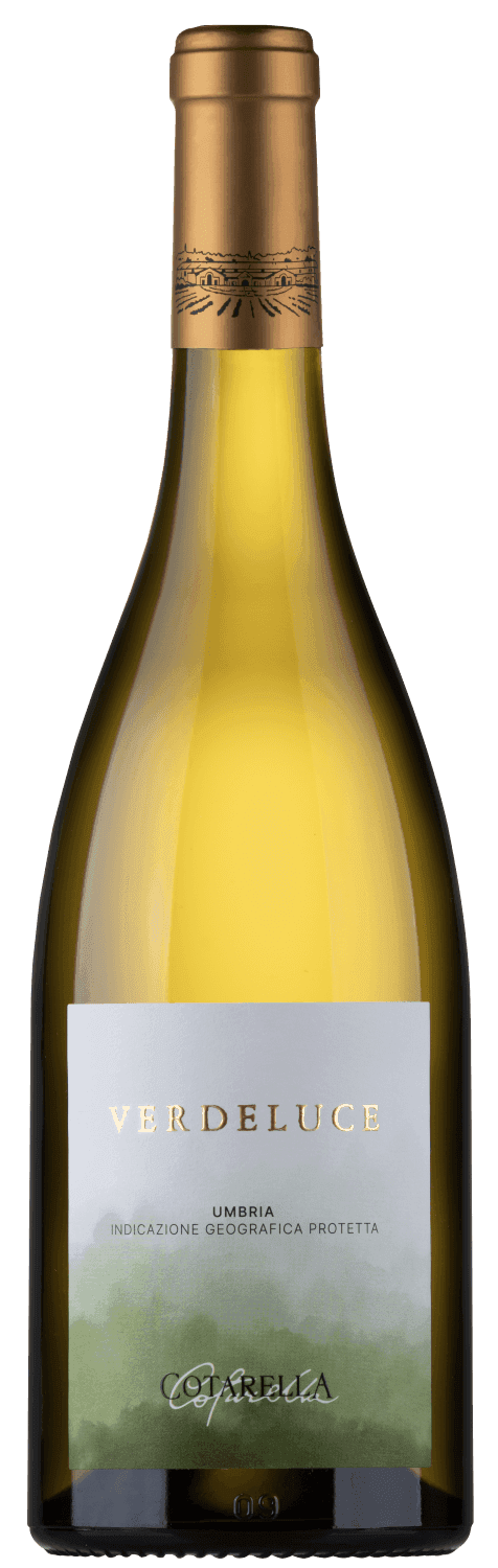 Verdeluce — Cotarella