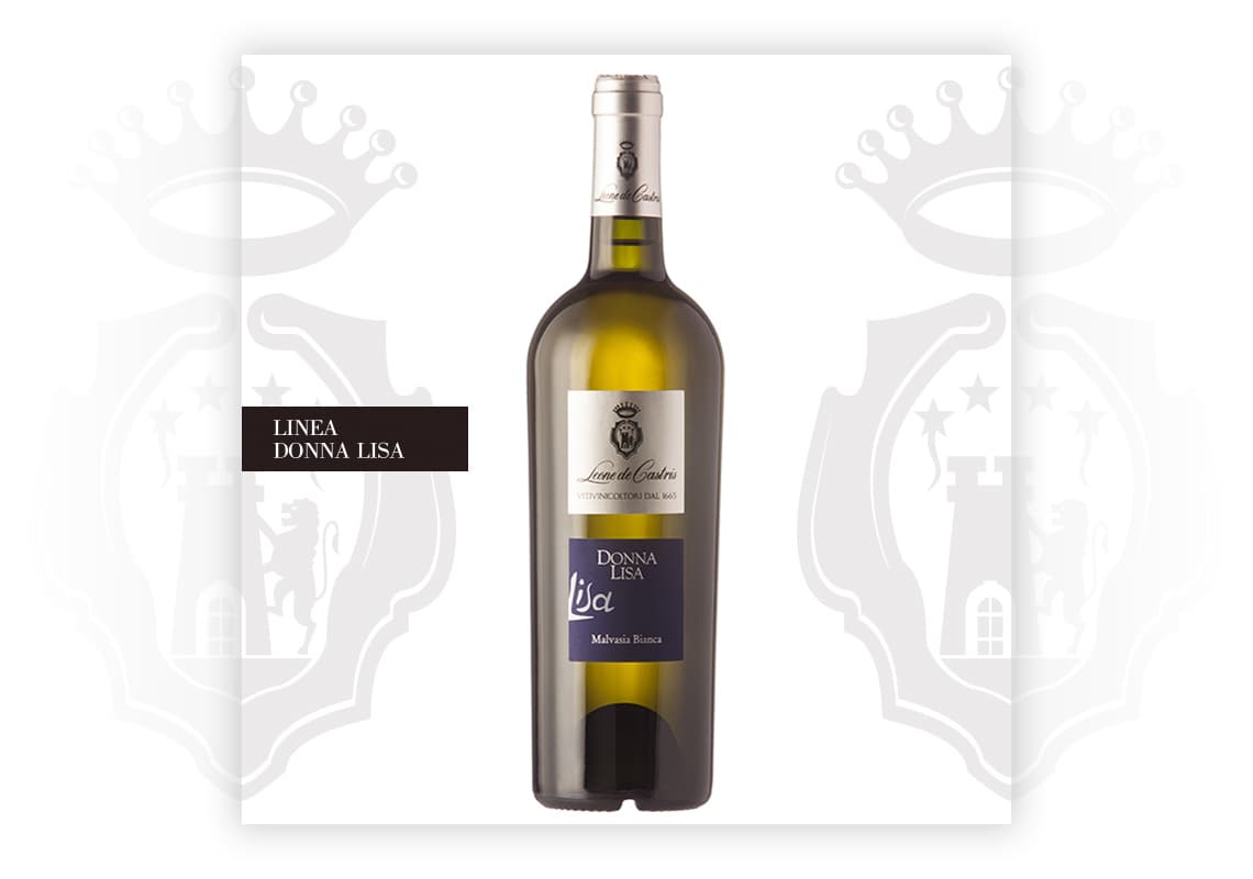 Donna Lisa '21 — De Castris