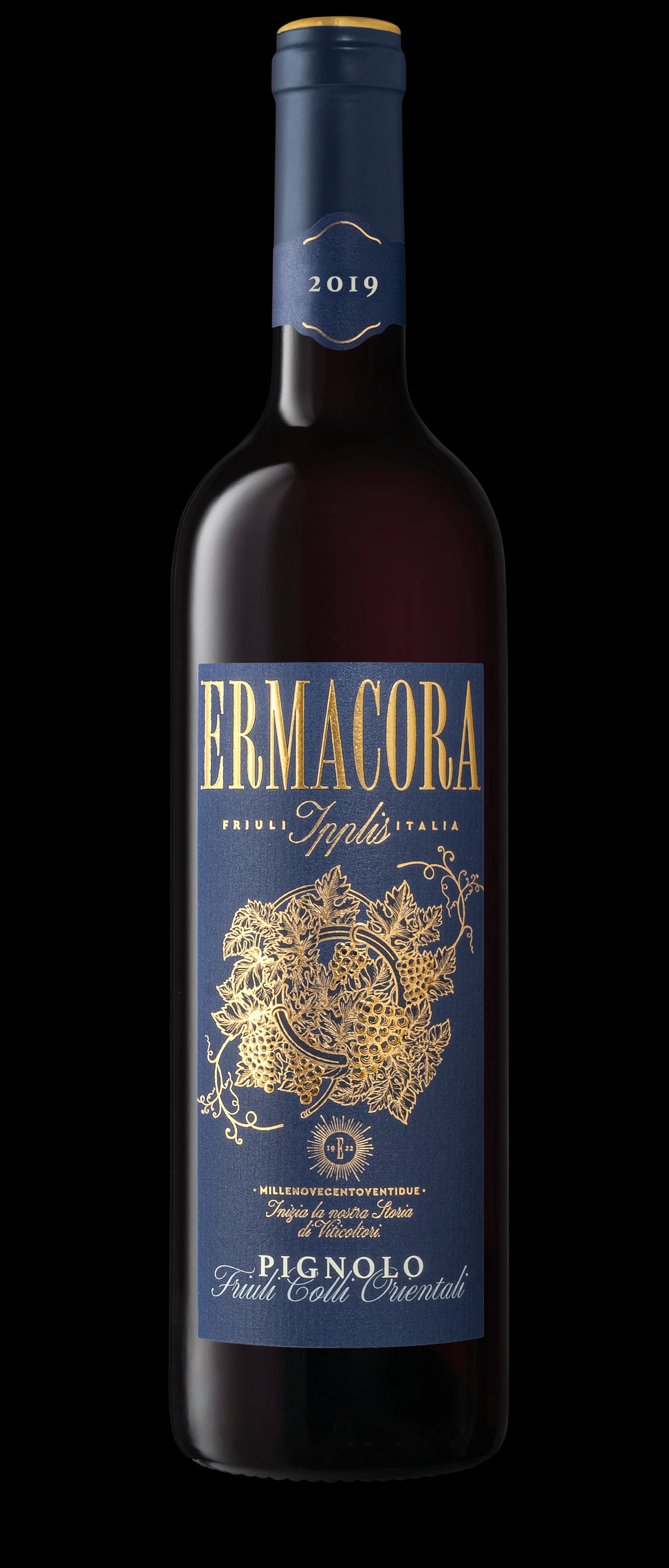 Pignolo '18 — Ermacora