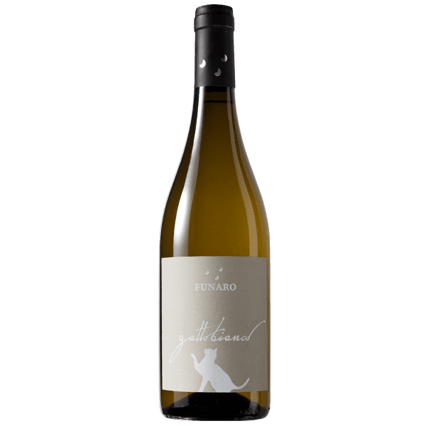 Gatto Bianco '24 — Funaro