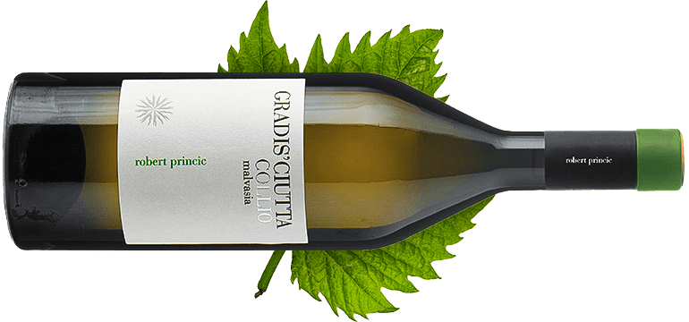 Malvasia '24 — Gradis'ciutta