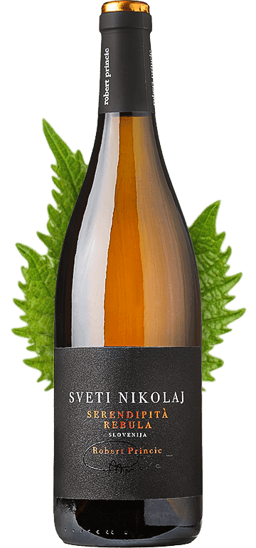Sveti Nikolaj Serendipità '20 — Robert Princic