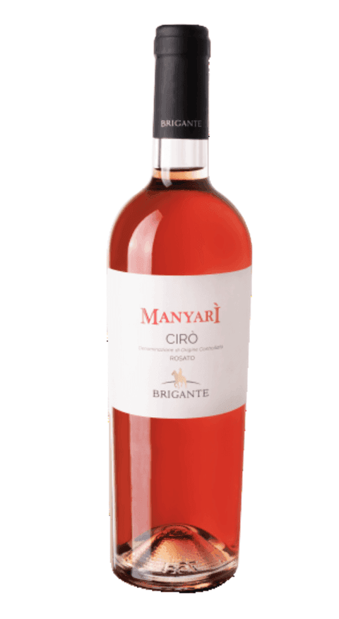 Manyari — Brigante
